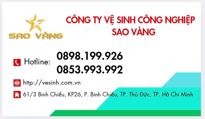 CÔNG TY TNHH MTV ĐẦU TƯ PHÁT TRIỂN DỊCH VỤ SAO VÀNG